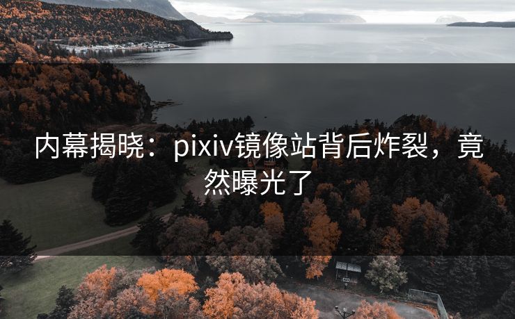 内幕揭晓：pixiv镜像站背后炸裂，竟然曝光了