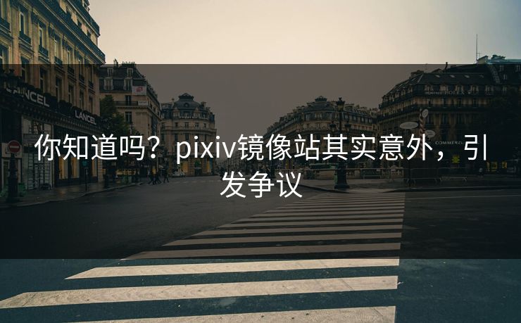 你知道吗？pixiv镜像站其实意外，引发争议