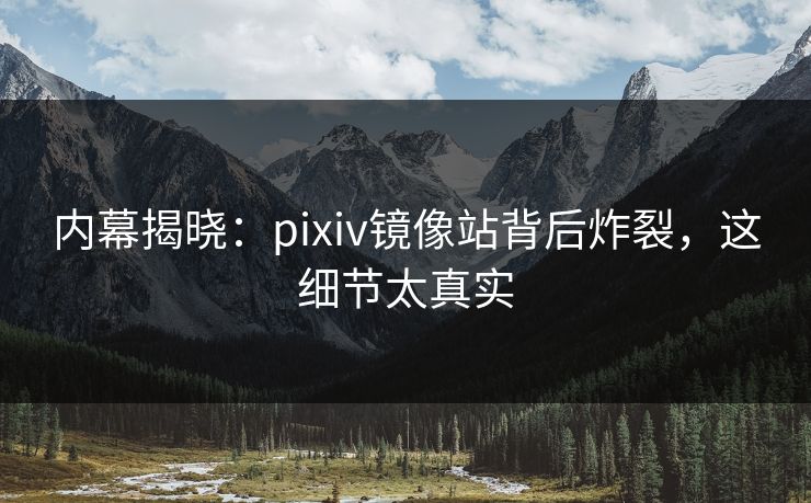 内幕揭晓：pixiv镜像站背后炸裂，这细节太真实