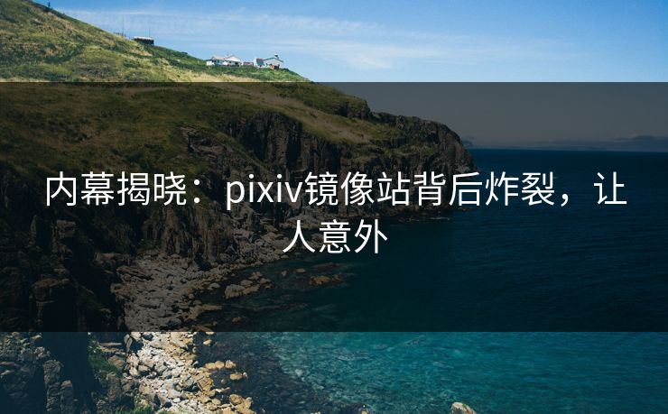内幕揭晓：pixiv镜像站背后炸裂，让人意外