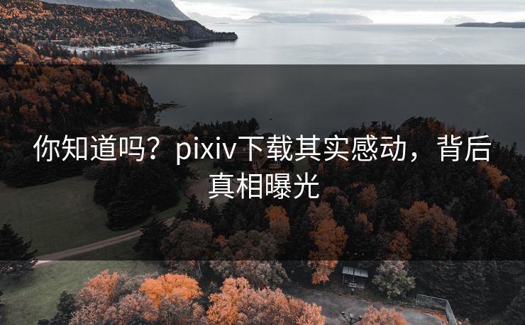 你知道吗？pixiv下载其实感动，背后真相曝光