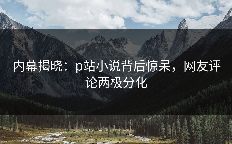 内幕揭晓：p站小说背后惊呆，网友评论两极分化