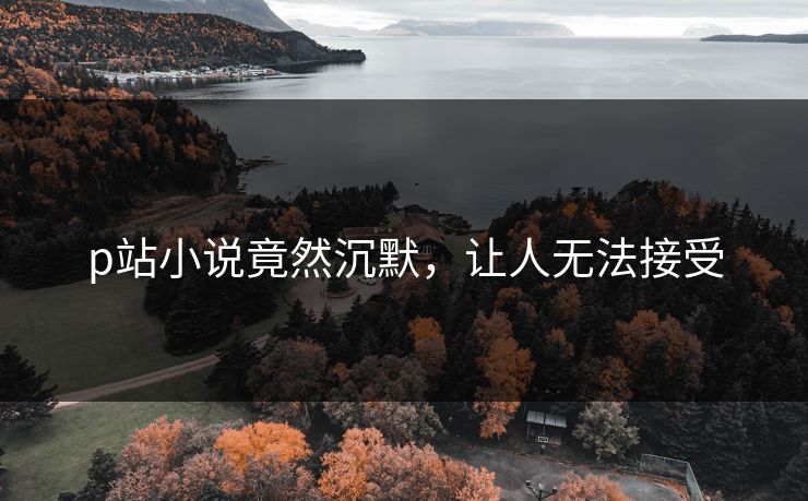 p站小说竟然沉默，让人无法接受