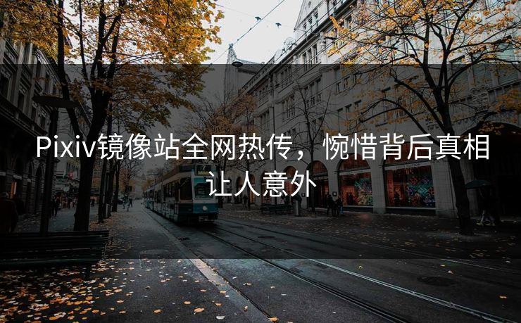 Pixiv镜像站全网热传，惋惜背后真相让人意外