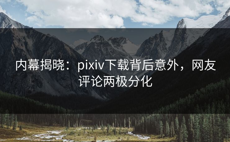 内幕揭晓：pixiv下载背后意外，网友评论两极分化