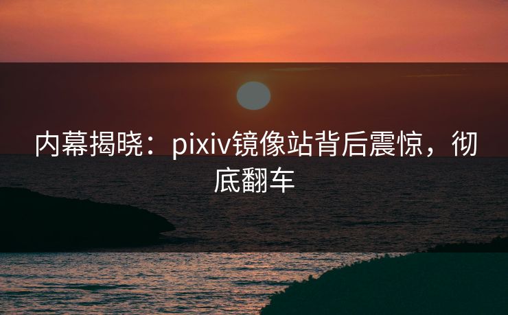 内幕揭晓：pixiv镜像站背后震惊，彻底翻车