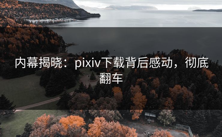 内幕揭晓：pixiv下载背后感动，彻底翻车