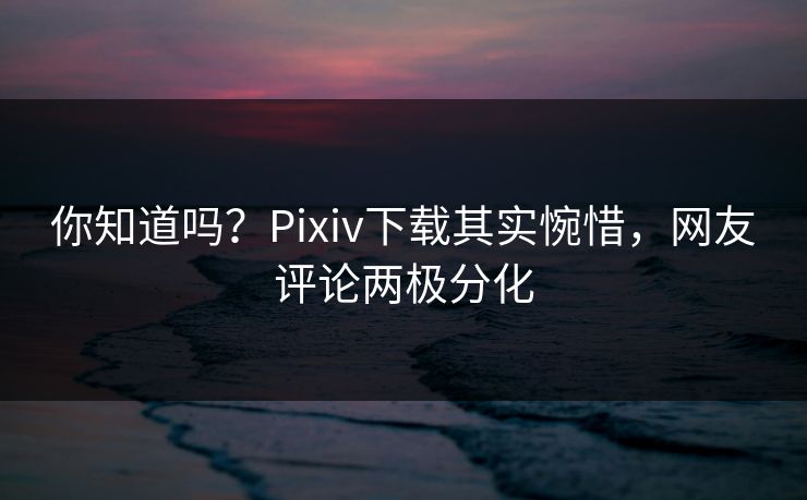 你知道吗？Pixiv下载其实惋惜，网友评论两极分化