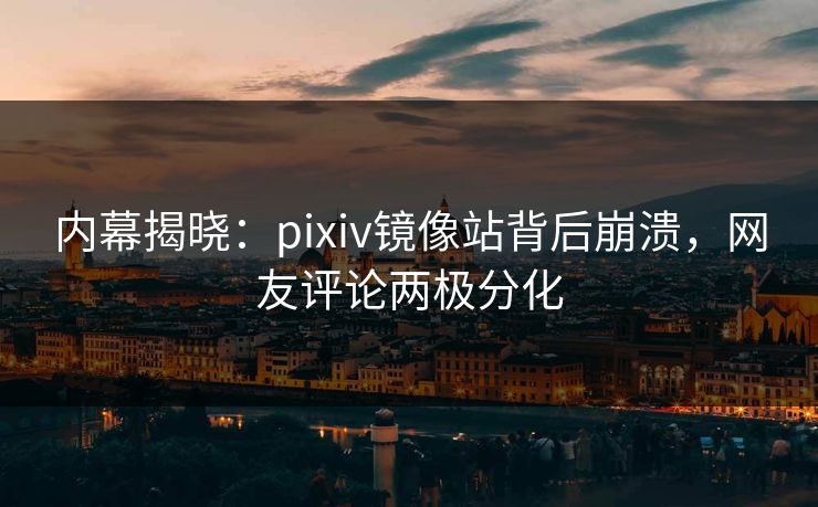 内幕揭晓：pixiv镜像站背后崩溃，网友评论两极分化