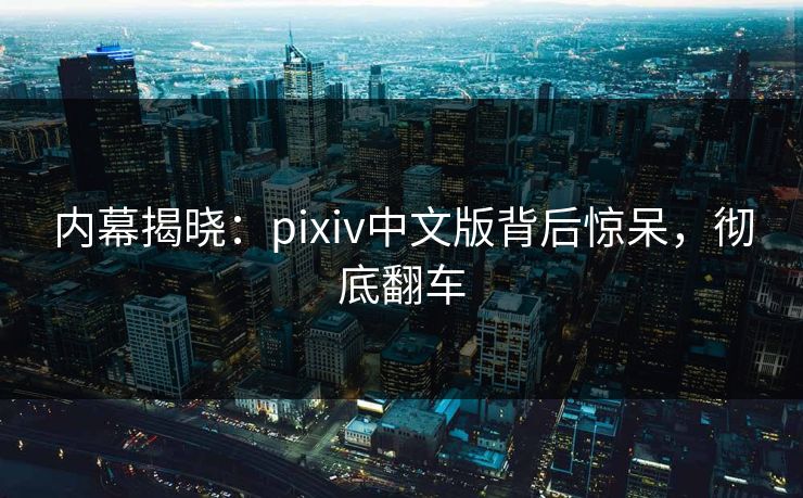 内幕揭晓：pixiv中文版背后惊呆，彻底翻车