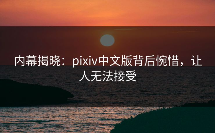 内幕揭晓：pixiv中文版背后惋惜，让人无法接受