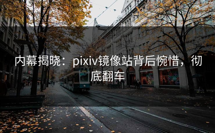 内幕揭晓：pixiv镜像站背后惋惜，彻底翻车