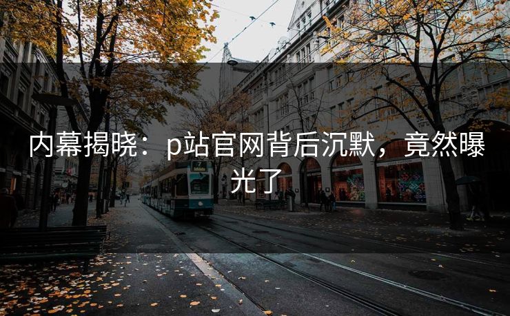 内幕揭晓：p站官网背后沉默，竟然曝光了