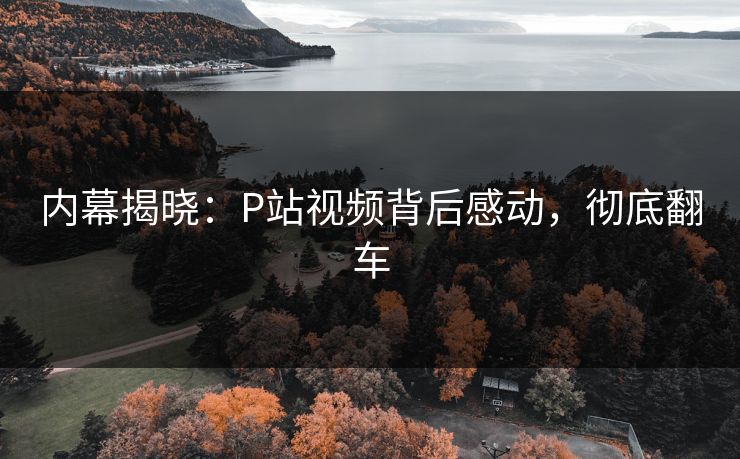 内幕揭晓：P站视频背后感动，彻底翻车