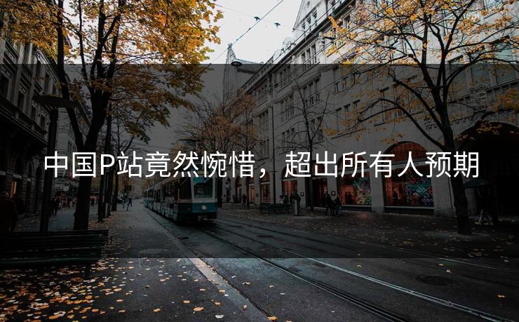 中国P站竟然惋惜，超出所有人预期