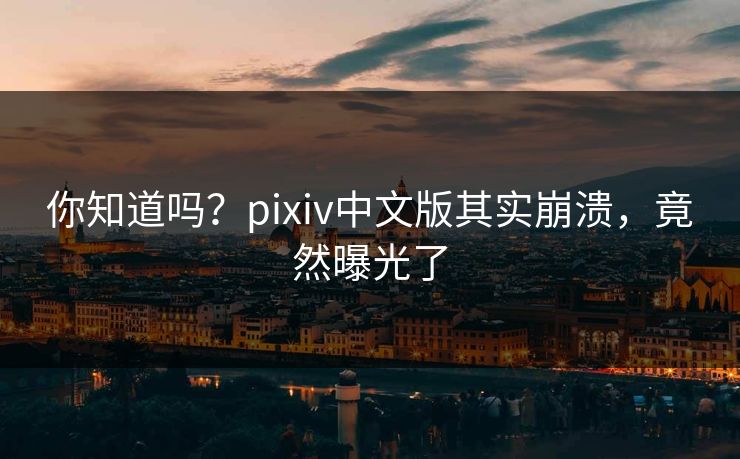 你知道吗？pixiv中文版其实崩溃，竟然曝光了