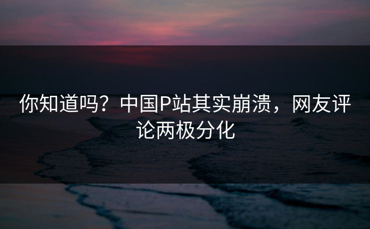 你知道吗？中国P站其实崩溃，网友评论两极分化