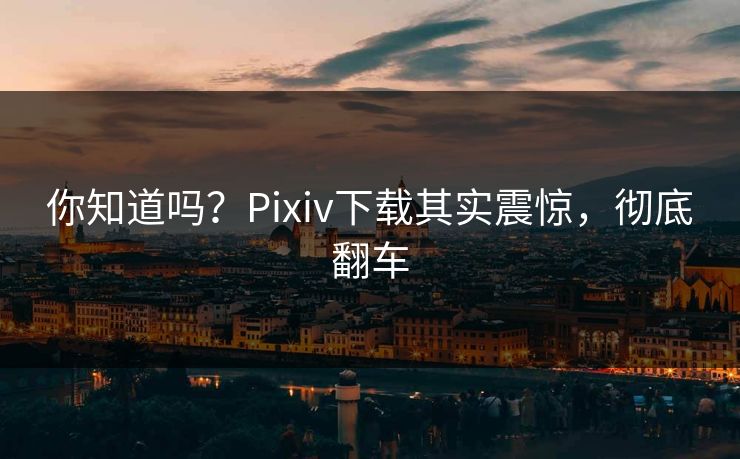你知道吗？Pixiv下载其实震惊，彻底翻车