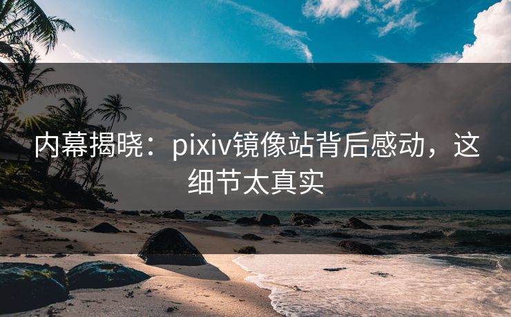 内幕揭晓：pixiv镜像站背后感动，这细节太真实