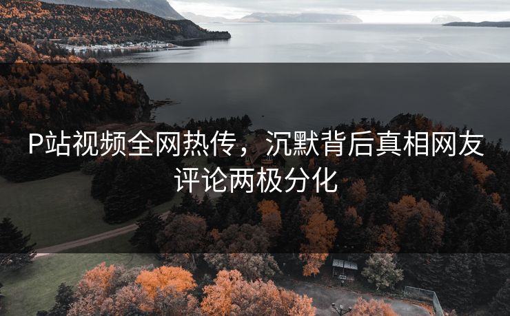 P站视频全网热传，沉默背后真相网友评论两极分化