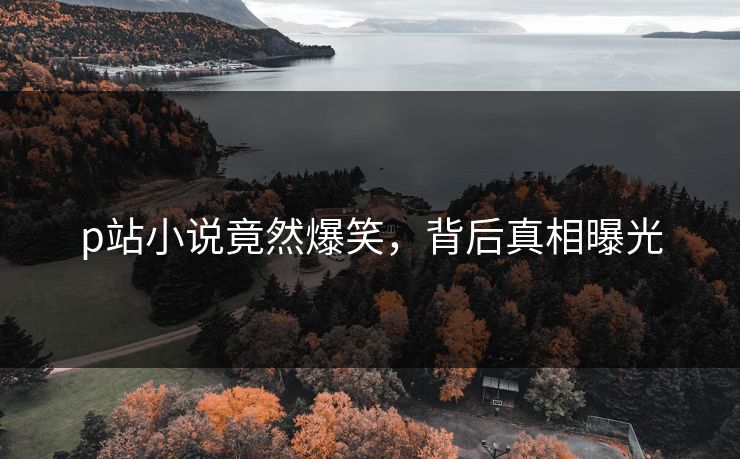 p站小说竟然爆笑，背后真相曝光