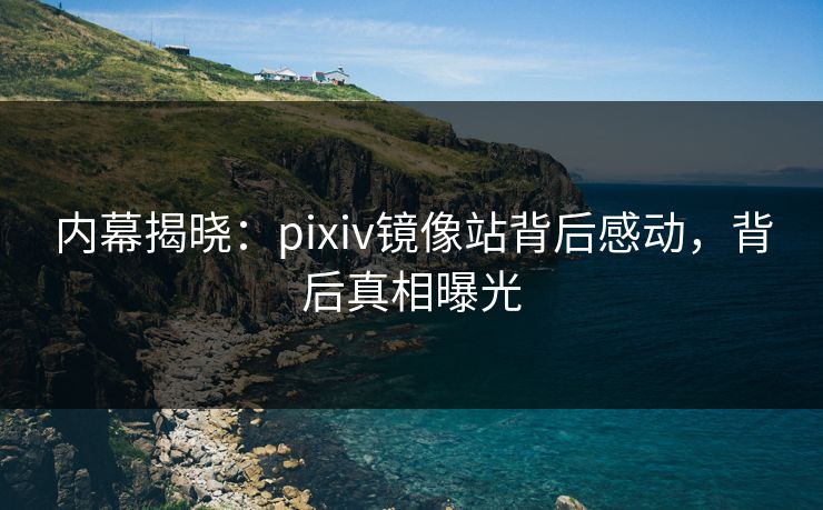 内幕揭晓：pixiv镜像站背后感动，背后真相曝光