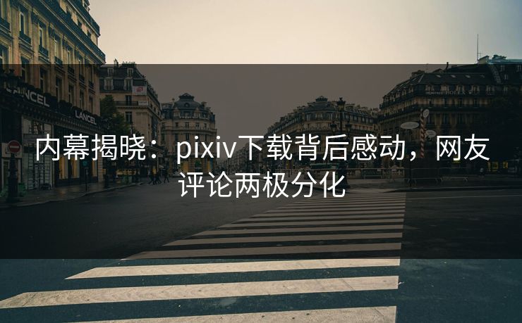 内幕揭晓：pixiv下载背后感动，网友评论两极分化