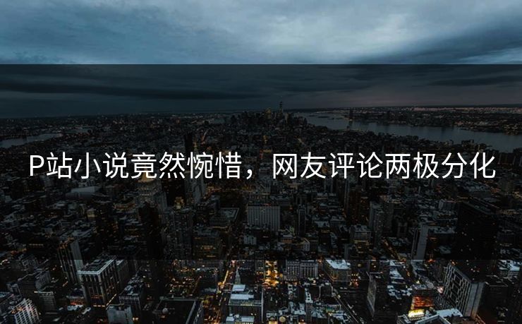 P站小说竟然惋惜，网友评论两极分化