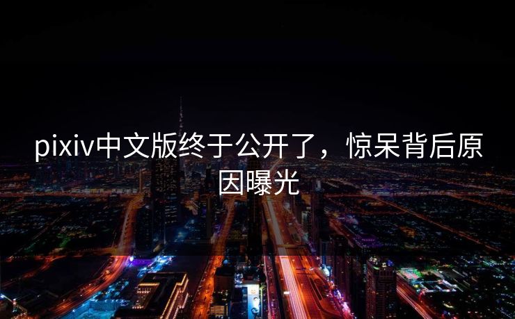pixiv中文版终于公开了，惊呆背后原因曝光