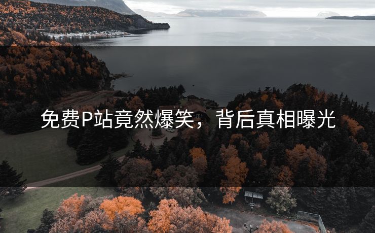 免费P站竟然爆笑，背后真相曝光