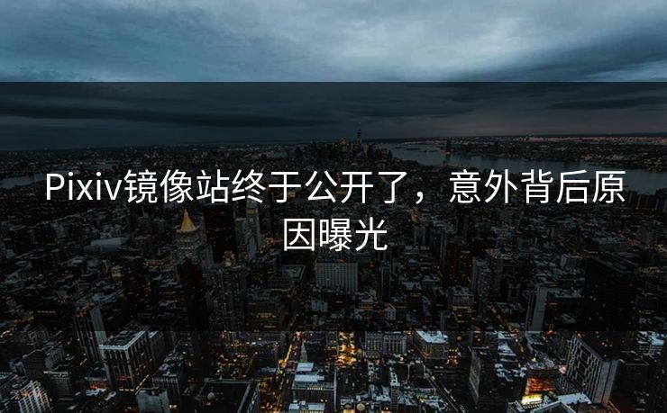 Pixiv镜像站终于公开了，意外背后原因曝光