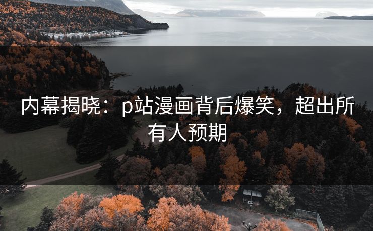内幕揭晓：p站漫画背后爆笑，超出所有人预期