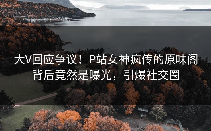 大V回应争议！P站女神疯传的原味阁背后竟然是曝光，引爆社交圈