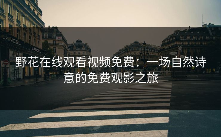 野花在线观看视频免费：一场自然诗意的免费观影之旅