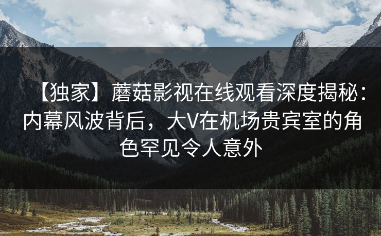 【独家】蘑菇影视在线观看深度揭秘：内幕风波背后，大V在机场贵宾室的角色罕见令人意外