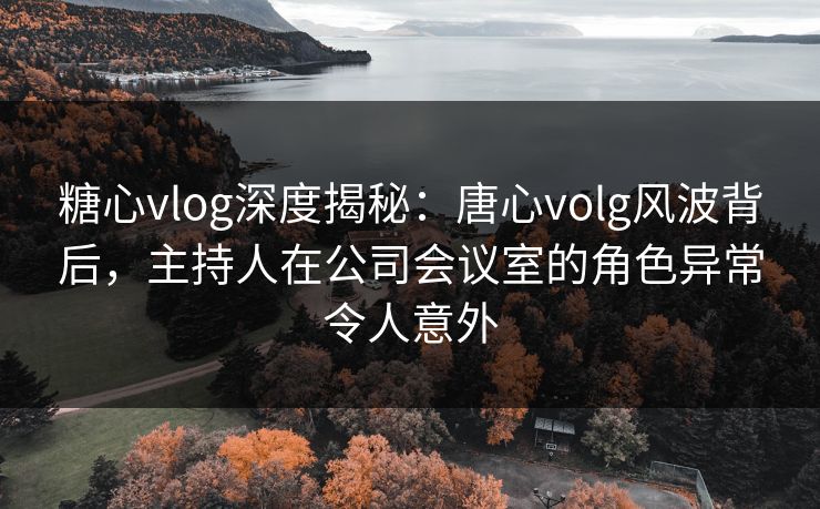 糖心vlog深度揭秘：唐心volg风波背后，主持人在公司会议室的角色异常令人意外