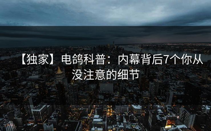 【独家】电鸽科普：内幕背后7个你从没注意的细节