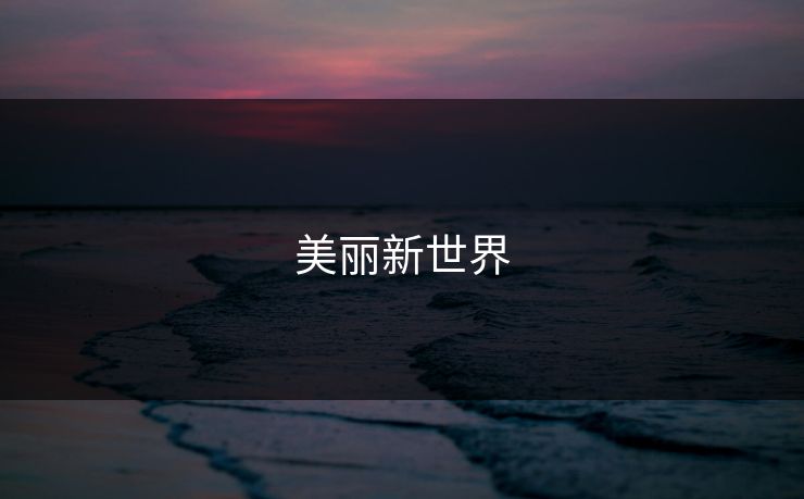 美丽新世界